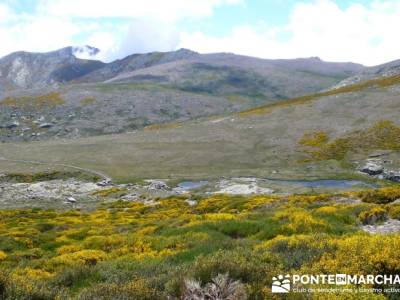 Parque Regional Sierra de Gredos - Laguna Grande de Gredos;circuitos culturales;viajes trekking